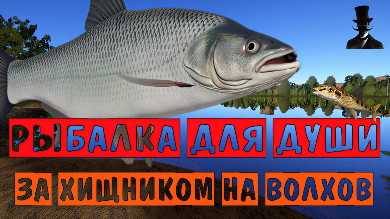 Рыбалка для души. За хищником на реку Волхов. Русская Рыбалка 4.