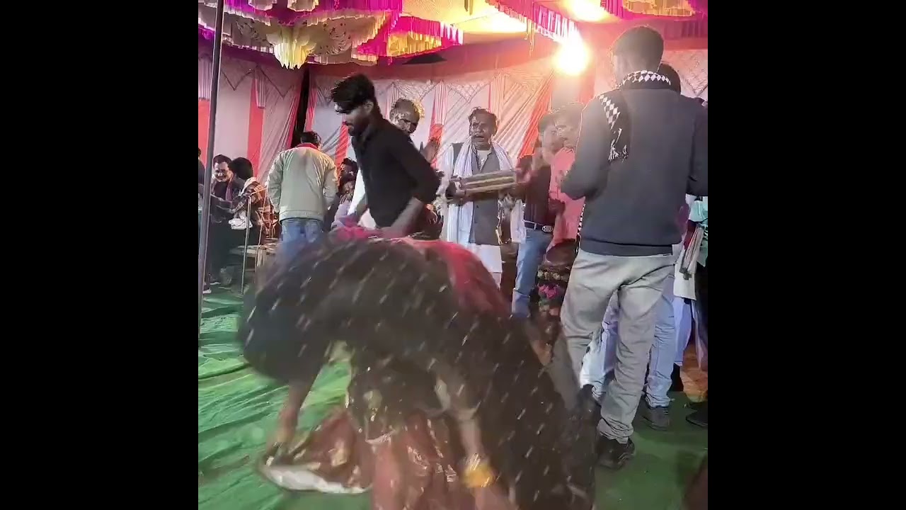 बुन्देलखण्ड की शान राई पहले के जमाने में नचनारी और निचवे और नचवे वाले भाई साहब की कला #bundelkhandi 