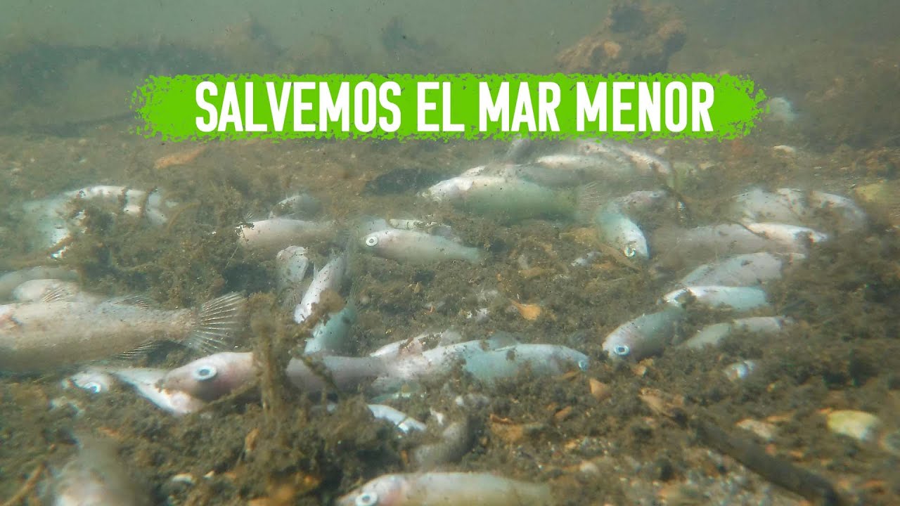 Salvemos el Mar Menor