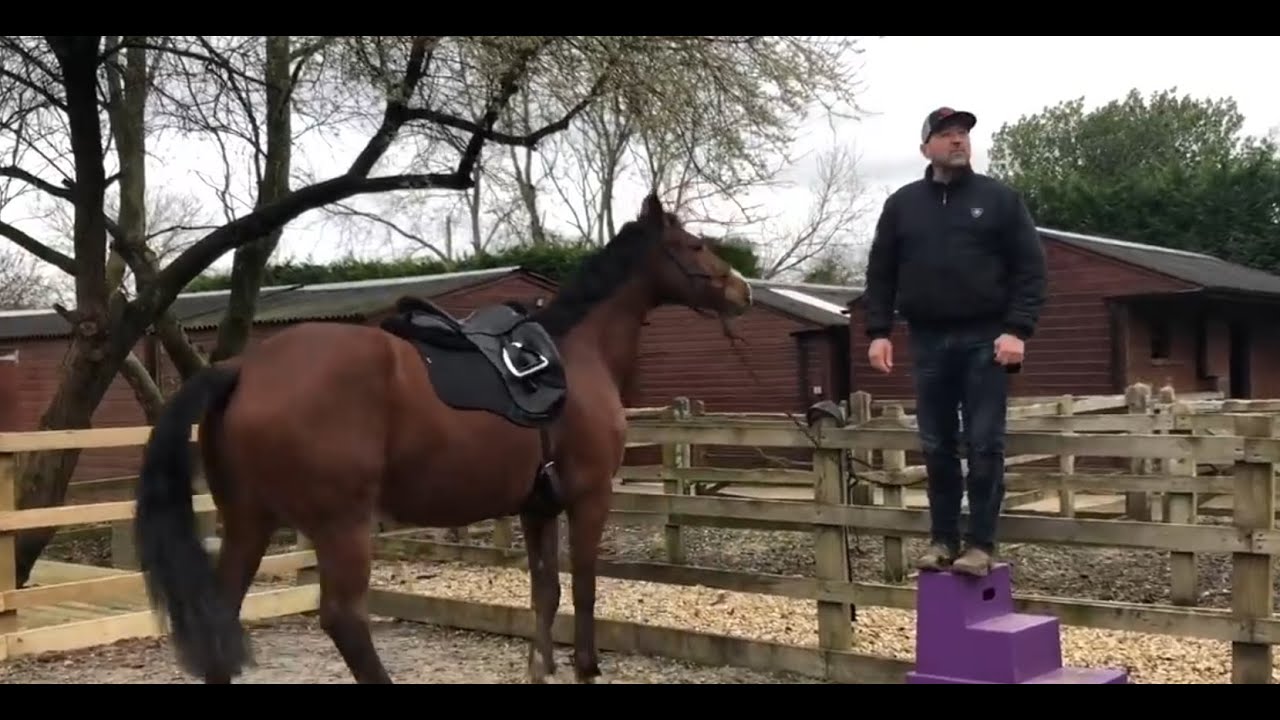 Horse wont stand still for its owner to mount!