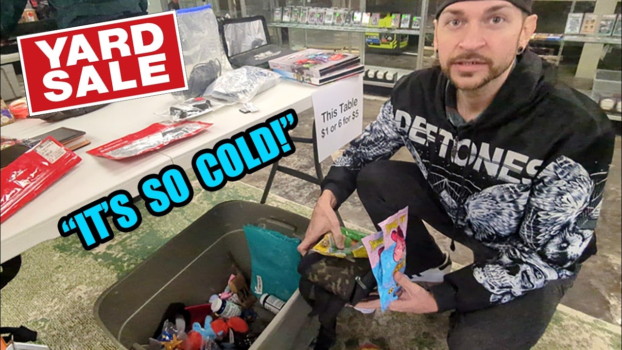 Are these Freezing Winter Yard Sale Game Finds worth it?