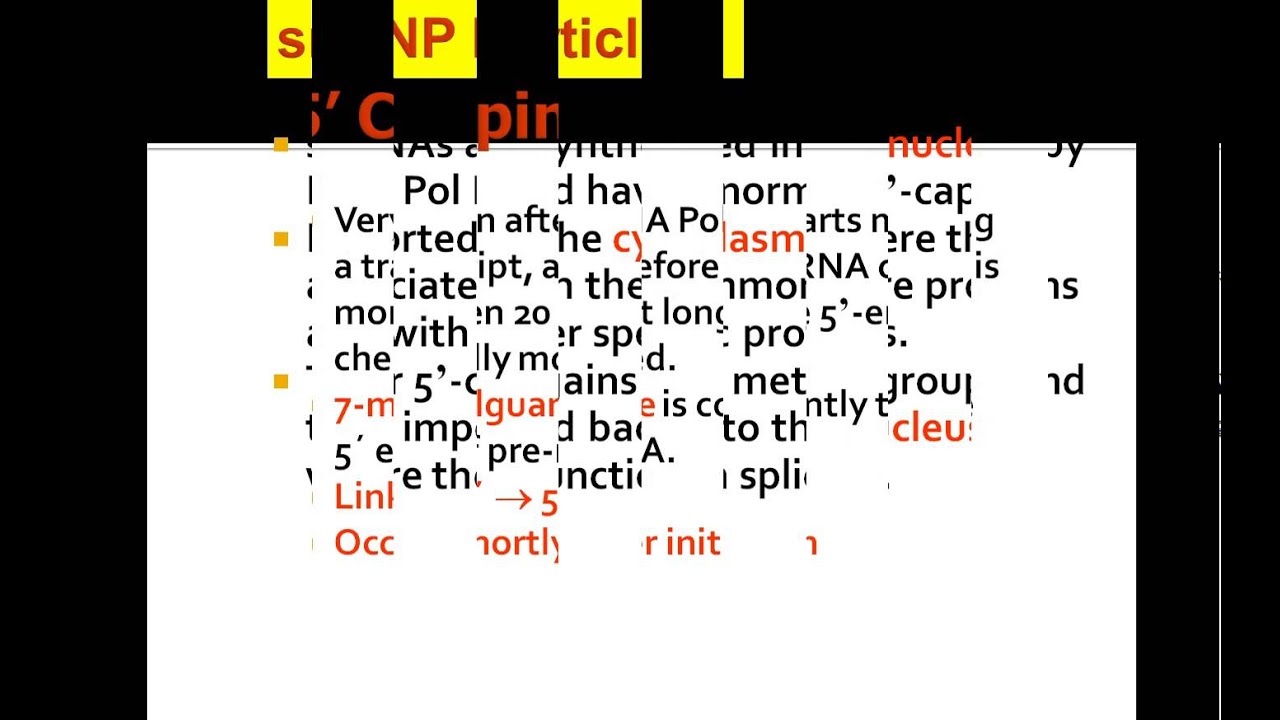 hnRNA Processing