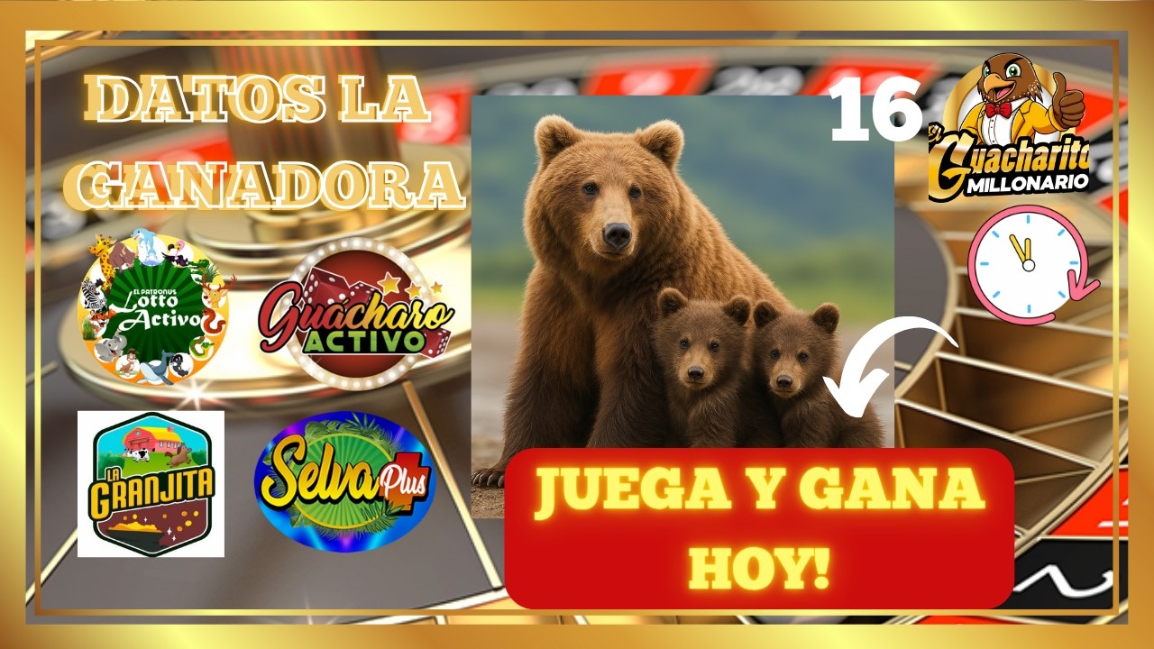 Tus Datos Gratis para hoy Martes 17/02/2025 Lotto activo Granjita  Selva  Gu&aacute;charo   LA GANADORA