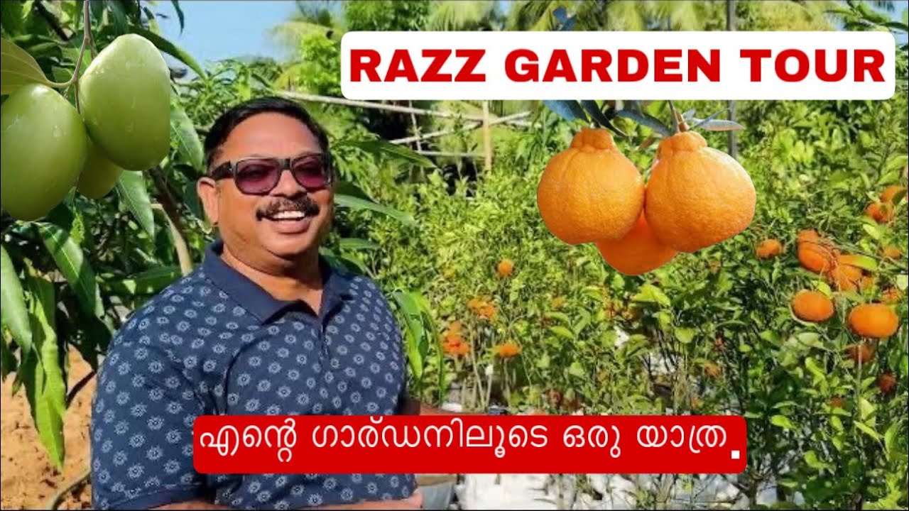 RAZZ GARDEN TOUR 2024 1 st എന്റെ ഗാര്ഡനിലൂടെ ഒരു യാത്ര.