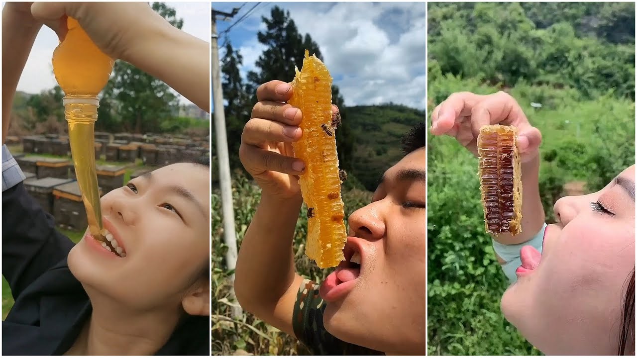 ASMR Honeycomb Eating Sounds 🍯🍯 #14 | Sesli Petek Bal Yeme Videosu | Comendo Mel |أسمر أكل العسل