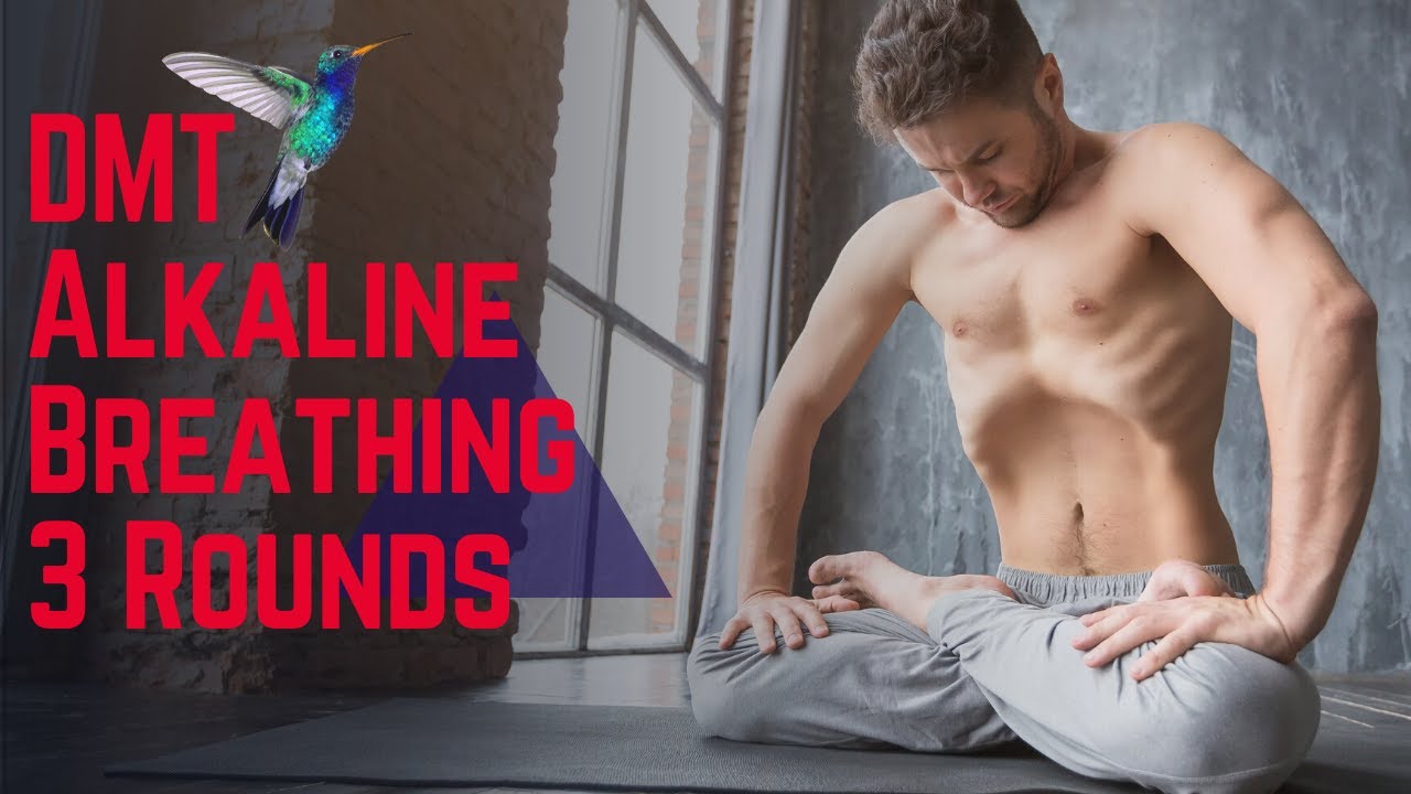 DMT Alkaline Breathing - 3 Rounds (Hummingbird Edition)