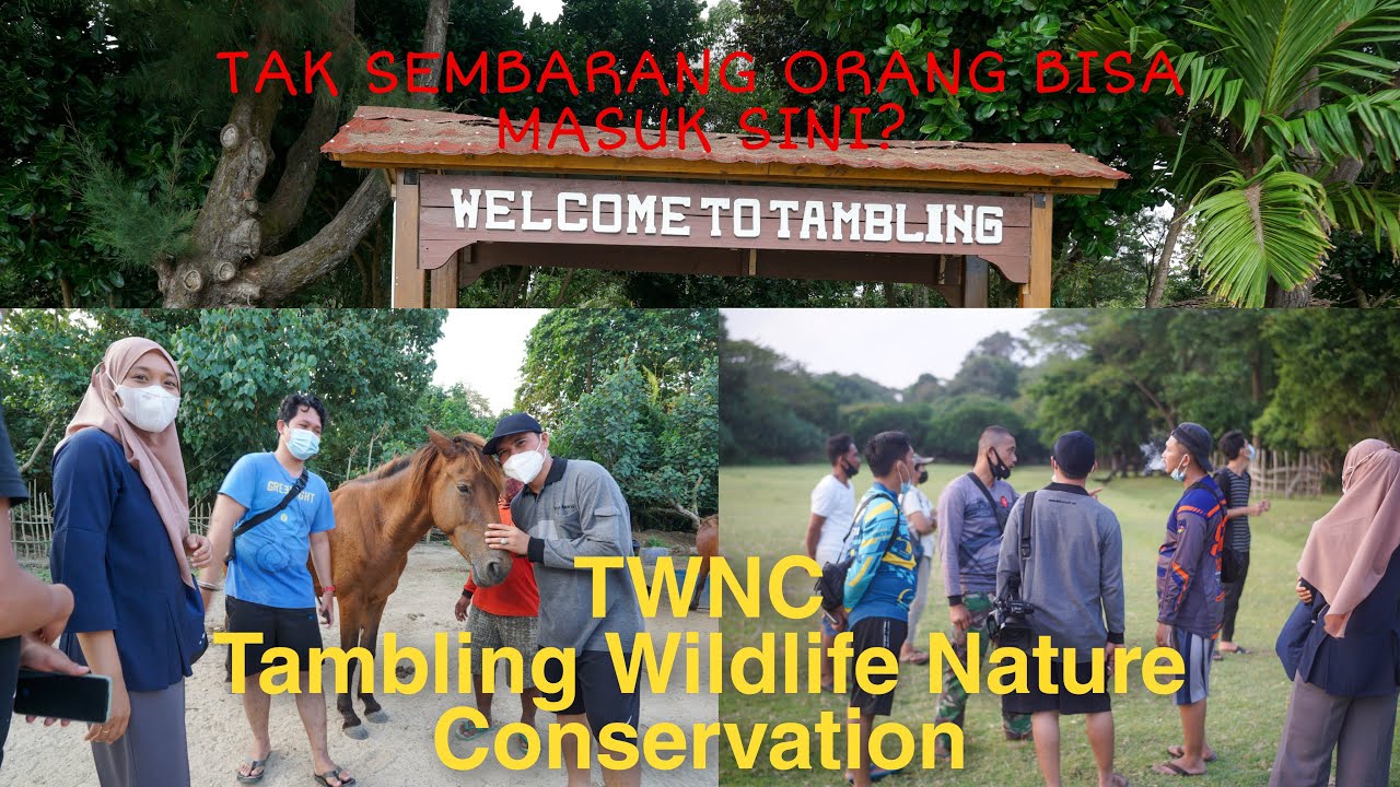 Explore (TWNC) Bangkunat Pesisir Barat