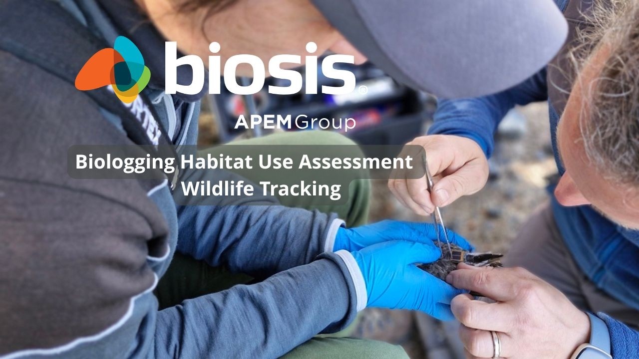 Biosis Environmental Consultants - Biologging Habitat Use Assessment