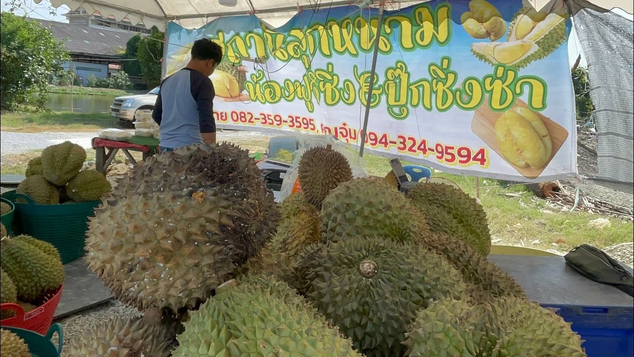 เปิด 1,000,000 เนื้อเหลืองๆสวยๆเลย ทุเรียนหมอนทอง ร้านน้องฟิจิซิ่ง&ปุ๊กซิ่งซ่า #thailand #streetfood