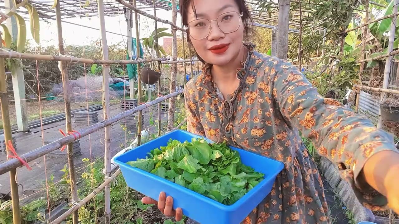 #105 ทำอาหารให้น้องไก่/น้องไก่กลับดาวไป 28 ตัว เหลือ แค่9 ตัวไว้ให้