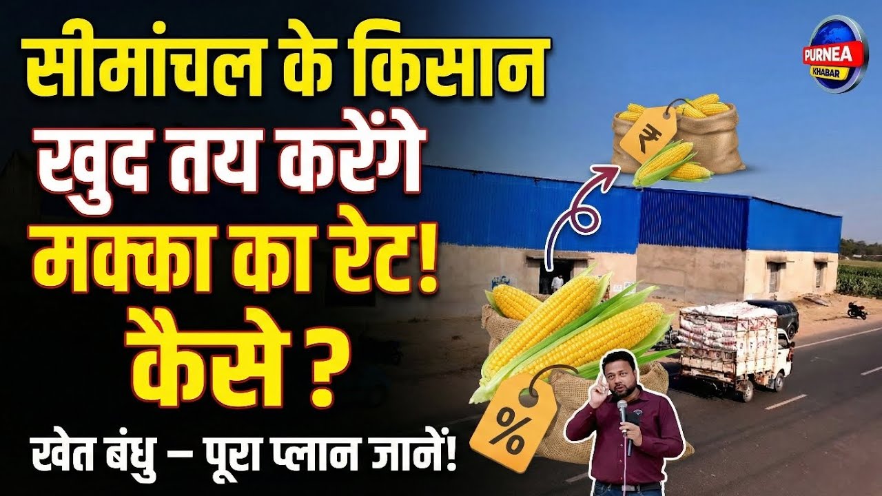 अब व्यापारी नहीं, सीमांचल के किसान खुद तय करेंगे मक्का का रेट! जानिए 'गेम चेंजिंग' प्लान।