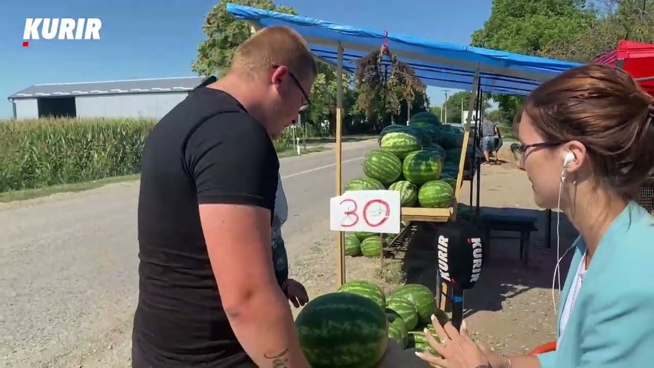 KAKO PREPOZNATI NAJSLAĐU LUBENICU! Uzgajivač otkrio genijalan trik!