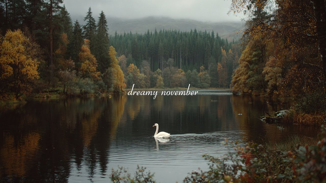 dreamy november playlist 🍁 soft piano & chill music for relaxation