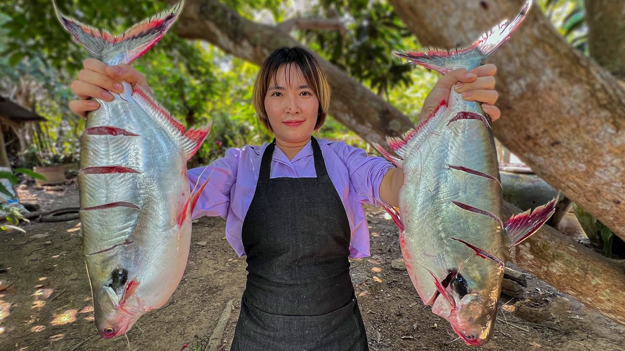 Amazing Stir Fried Big Fishes With Ginger Recipe In my Countryside
