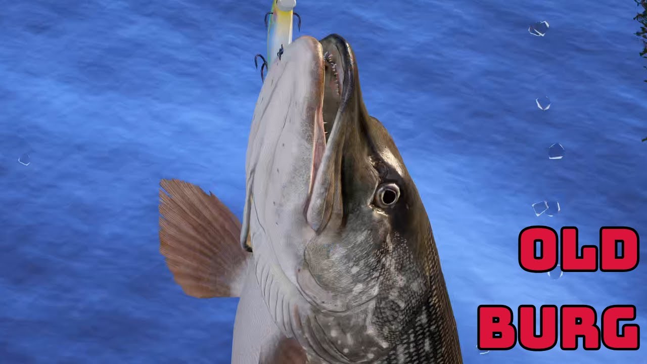 Pike Old Burg spot | Russian Fishing 4 (456)