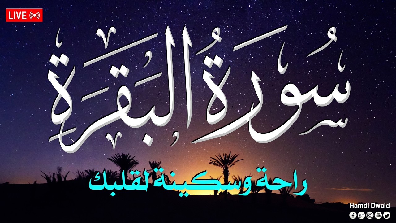 سورة البقرة طاردة الشياطين💚 بصوت هادئ ومريح جدا جدا 💚💤تلاوة هادئة للنوم والراحة النفسية 😴