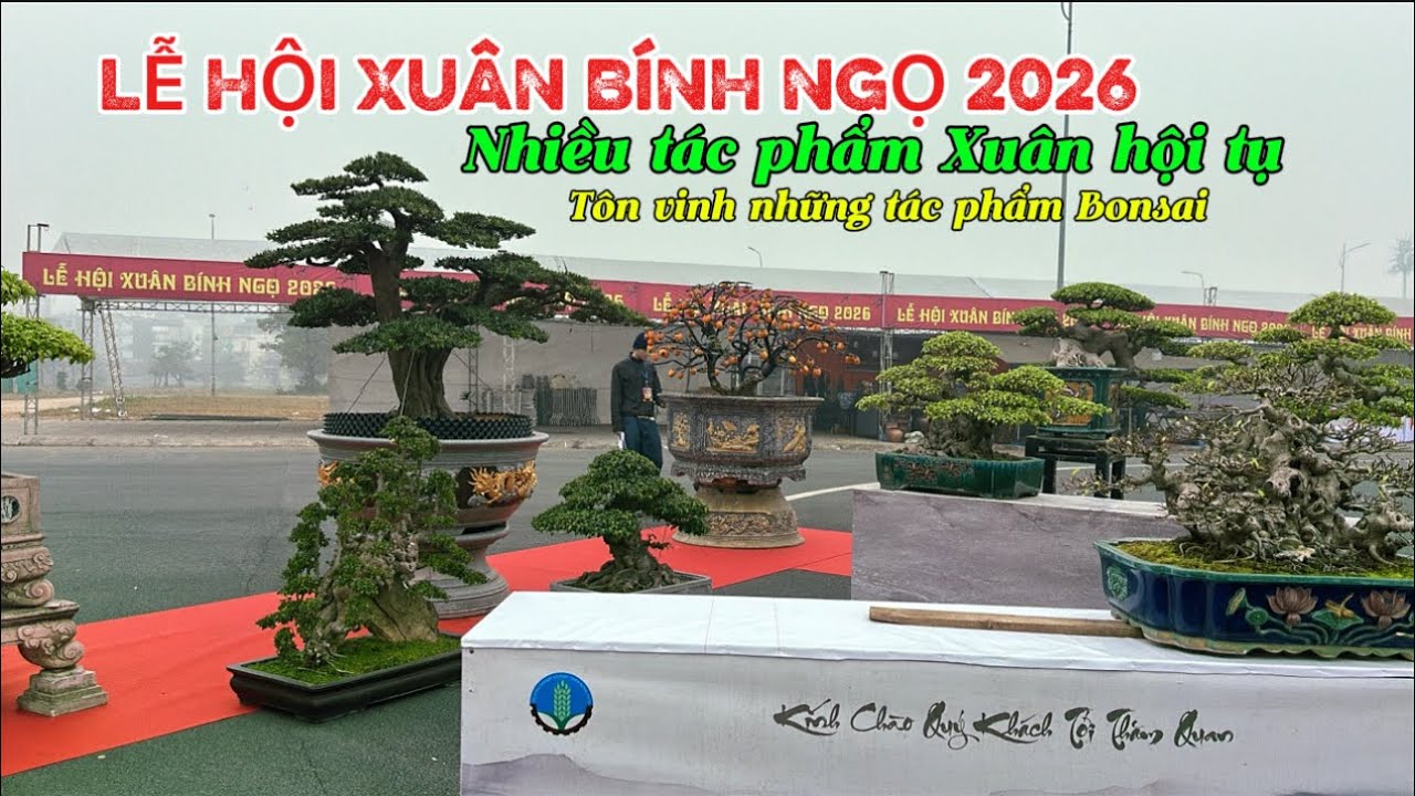 LỄ HỘI XUÂN BÍNH NGỌ 2026. Nơi hội tụ những TP Bonsai tại đường đua f1 Mỹ Đình | Quảng Tùng