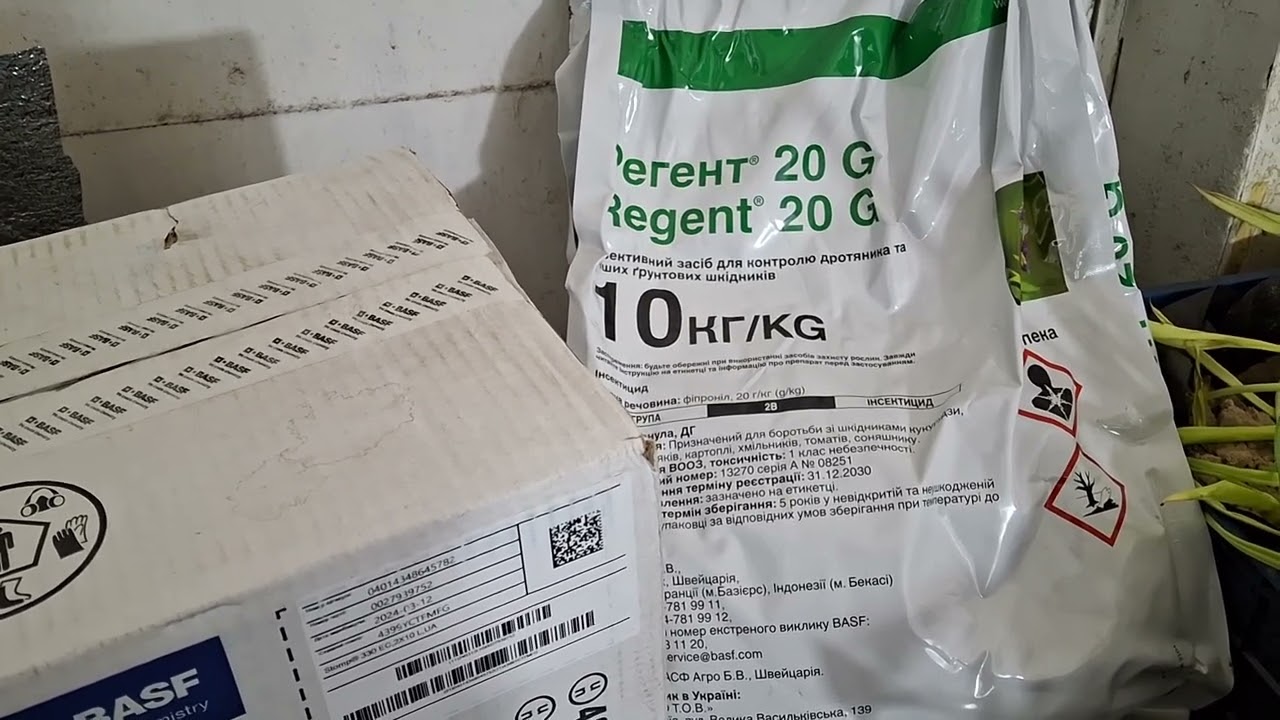 Грунтовий гербіцид по часнику Стомп 330. Норми і способи внесення. Регент 20G від дротянки.