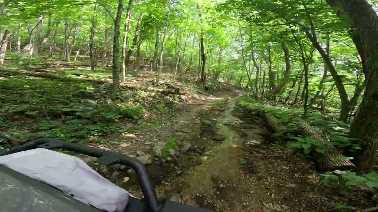Crabtree Falls 4x4 Trail
