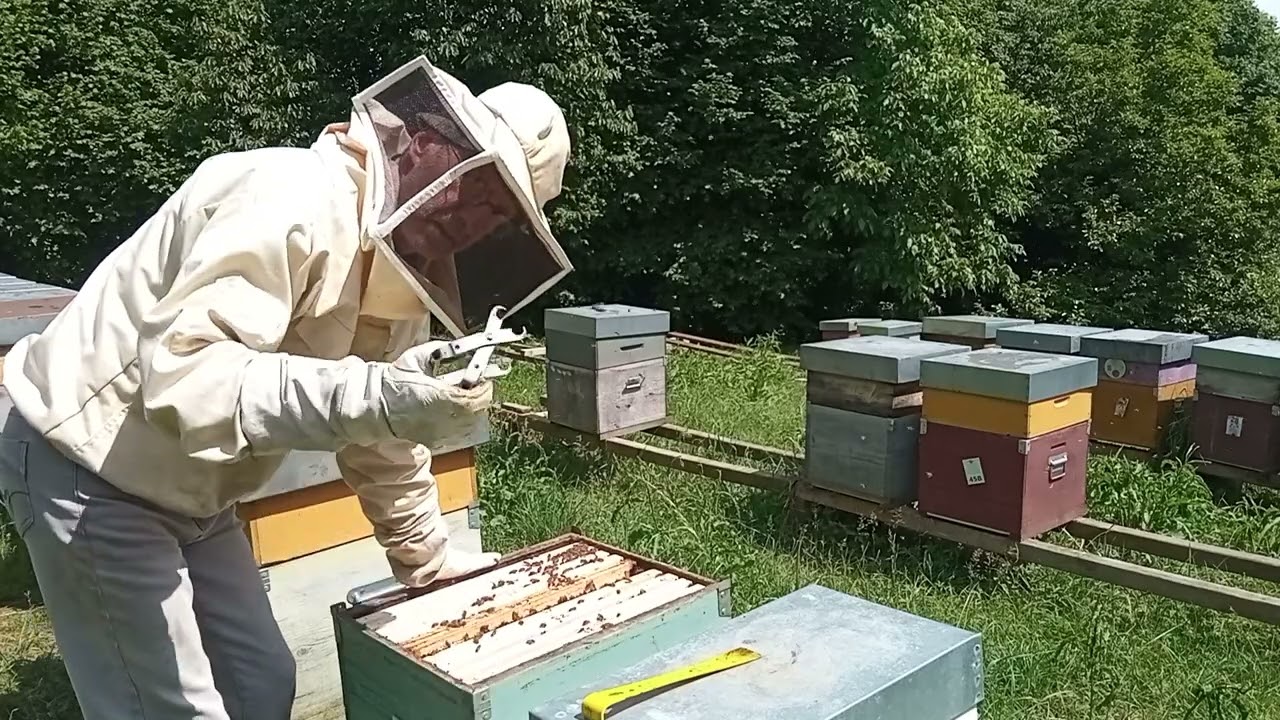 Telaio di test per gli sciami.