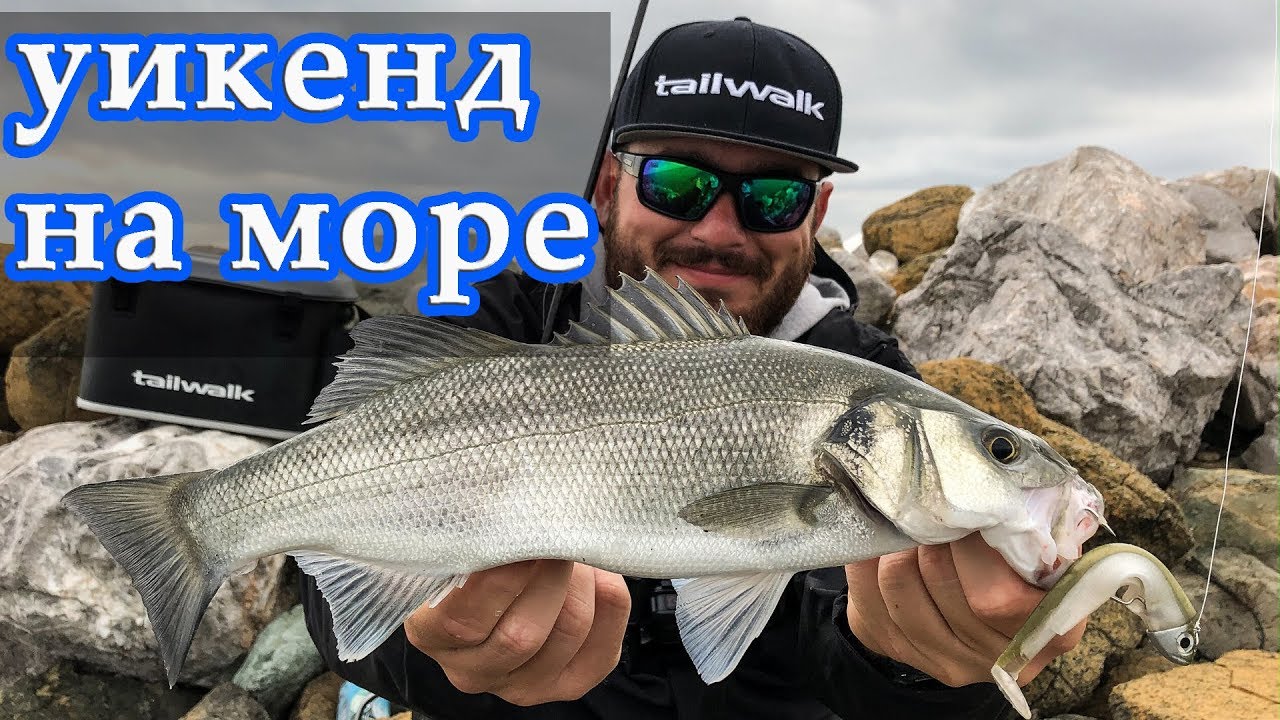 За лавраци на юг от Солун