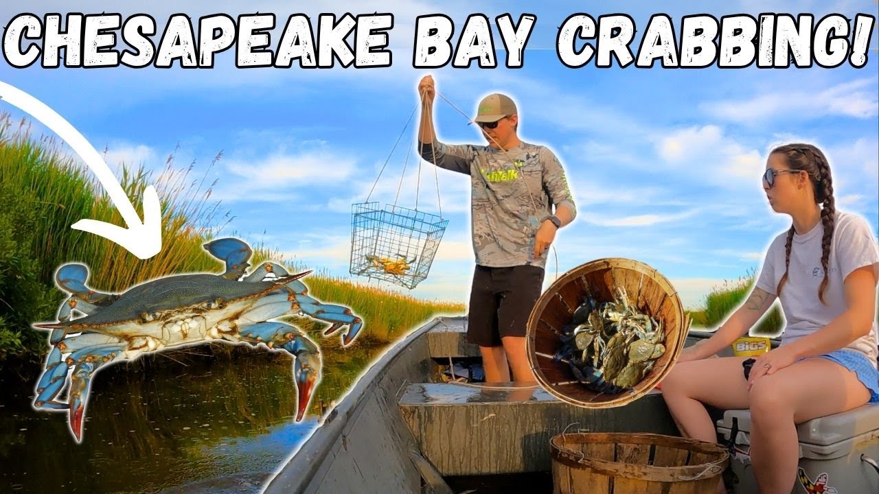 CRABBING For Chesapeake Bay BLUE CRABS! Running Drop Traps For Big Crabs! (Catch Clean And Cook!)