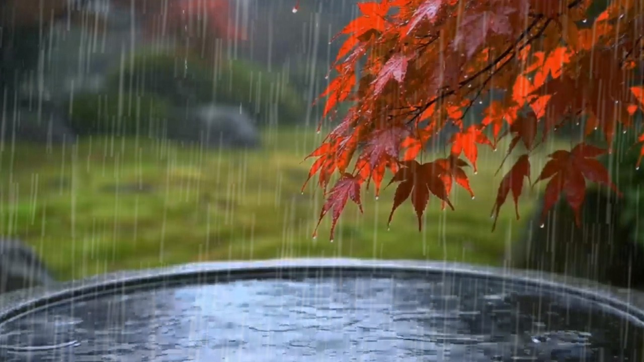 Smooth Drizzle On Pond In The Garden | Rain Sounds Therapy