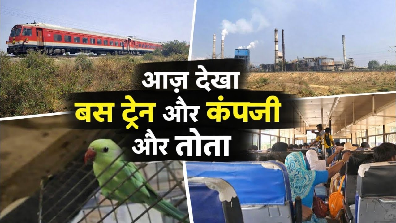 Aaj Dekha Bus 🚌 Train 🚆 Company 🏭 Aur Tota 🦜 | Full Day Vlog