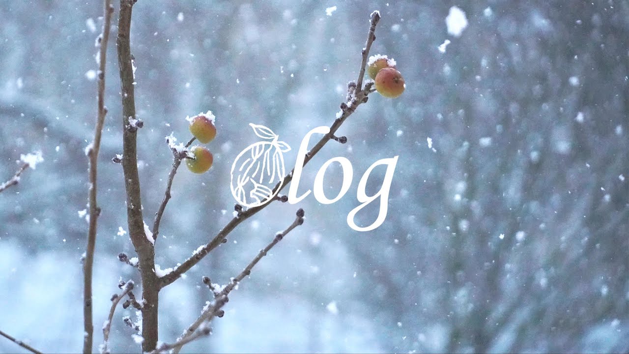 做饭｜日常｜你怎么不从钓鱼开始做炒年糕｜像没见过雪一样狂拍雪｜凉拌鸡丝｜鱼饼炒年糕｜海带鱼丸汤｜花生沙茶鱼丸面