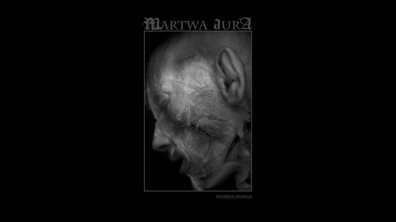 Martwa Aura   Morbus Animus