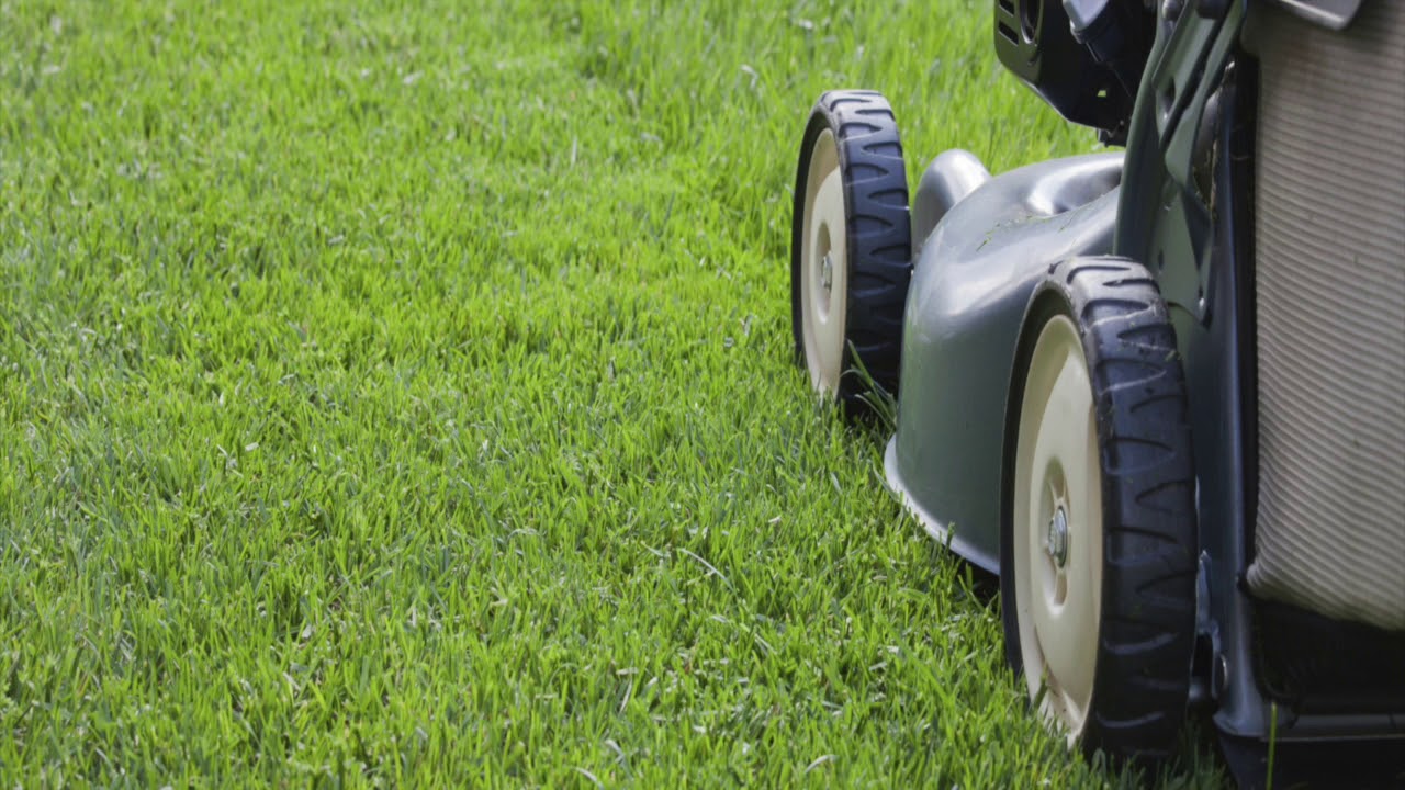 ASMR Lawnmower Sound | 1 Hour | Binaural #asmr #binaural #lawnmower #relaxing #sound