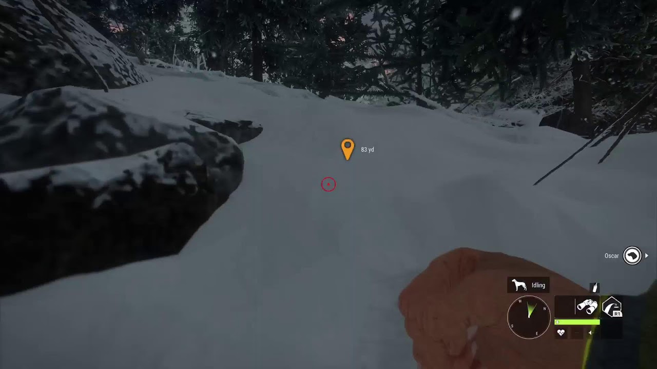 The Hunter: COTW Competition Hunting