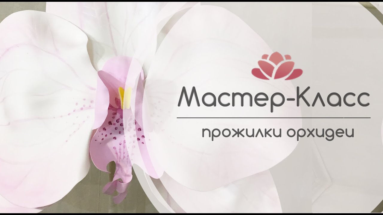 Бесплатный Мастер-Класс Орхидея из изолона (рисуем прожилки)