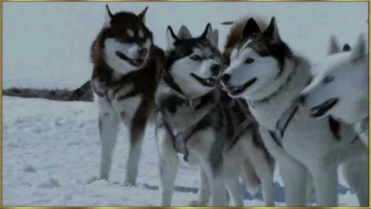 Joe McElderry - In The Bleak Midwinter - Eight Below