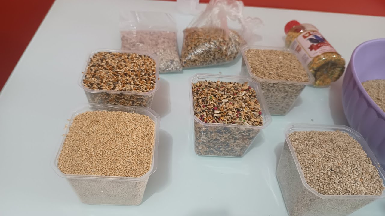 Alimentação, O que não pode faltar  Para o seu  Curió.