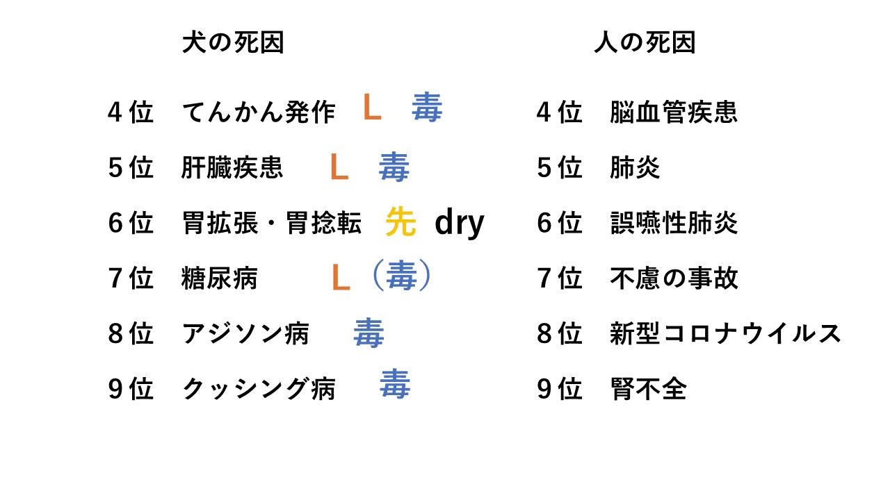 犬猫の食事相談会/第105回/犬の健康で長生きの科学
