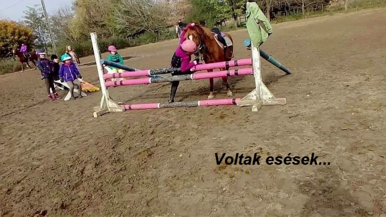 M&M Lovasiskola 2018