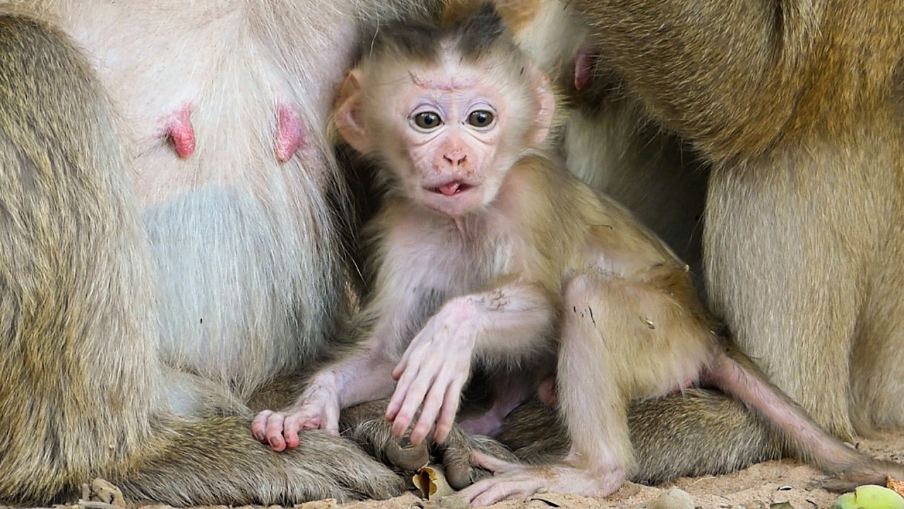 Nature in soft stillness | Newborn baby Boris is curious about walking but HE isn't ready