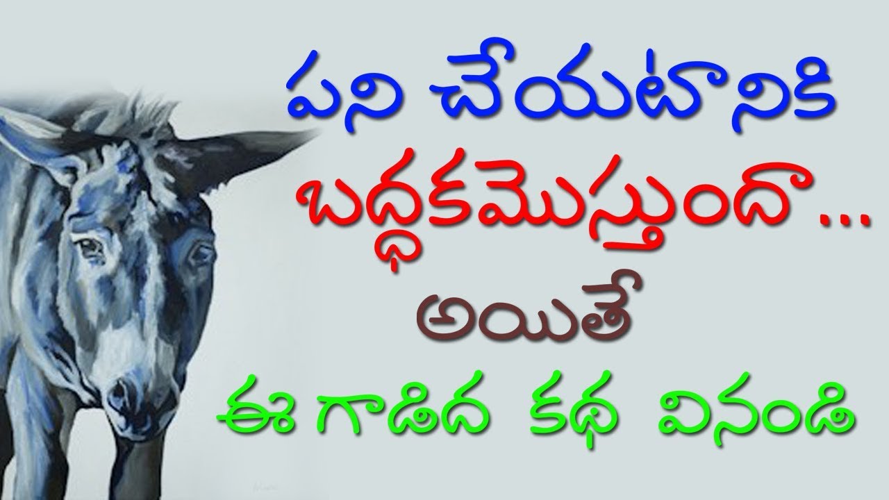 A DONKEY AND SALT STORY || DON'T NEGLECT YOUR WORK || AKELLA RAGHAVENDRA