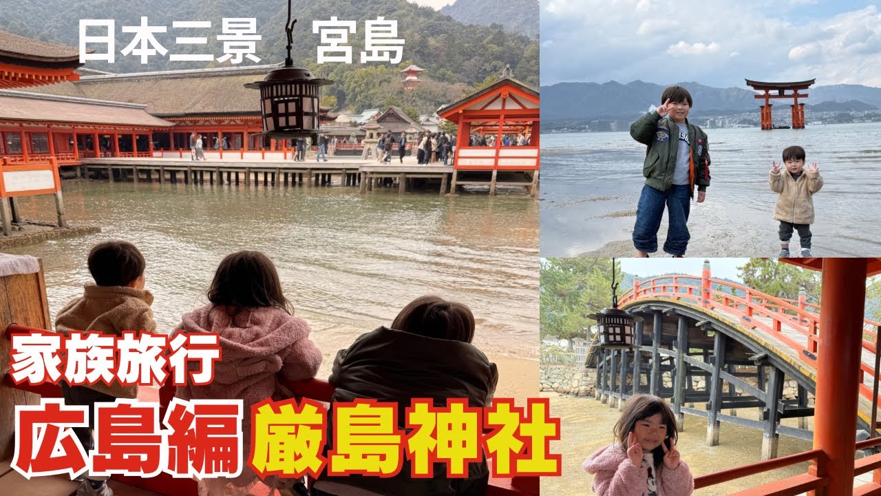 【家族旅行広島編】日本三景の宮島に行ってきました。海に浮かぶ厳島神社は綺麗でした。潮が引いた後も楽しめました。