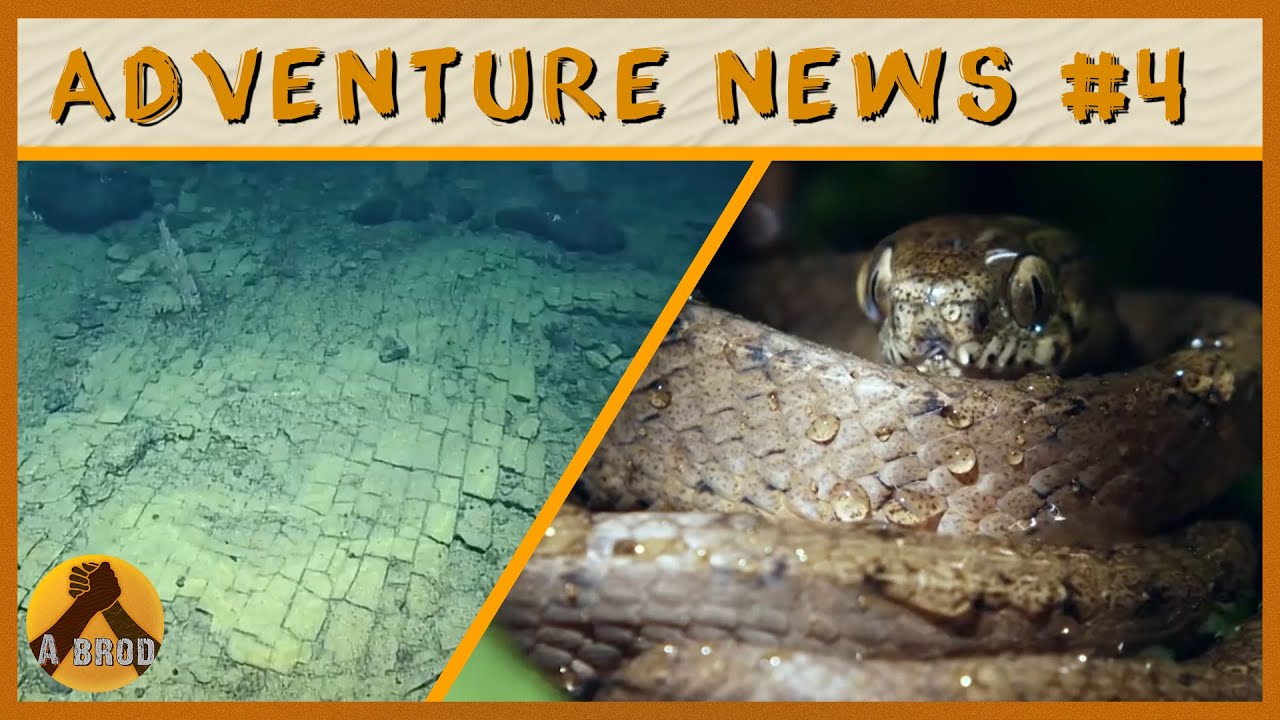 Adventure News #4 (Juin 2022)