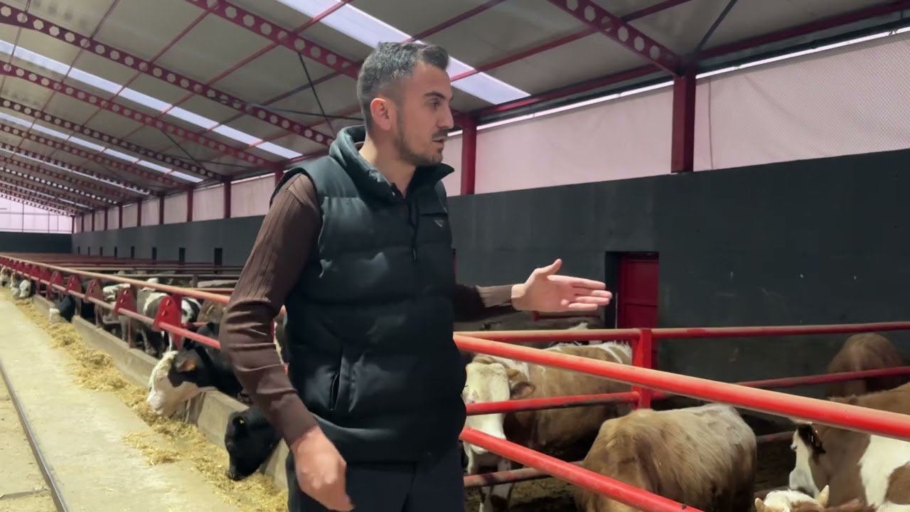 Hayvancılık yapmak için geç kalmayın. (Rasyon hayvan hastalıkları)