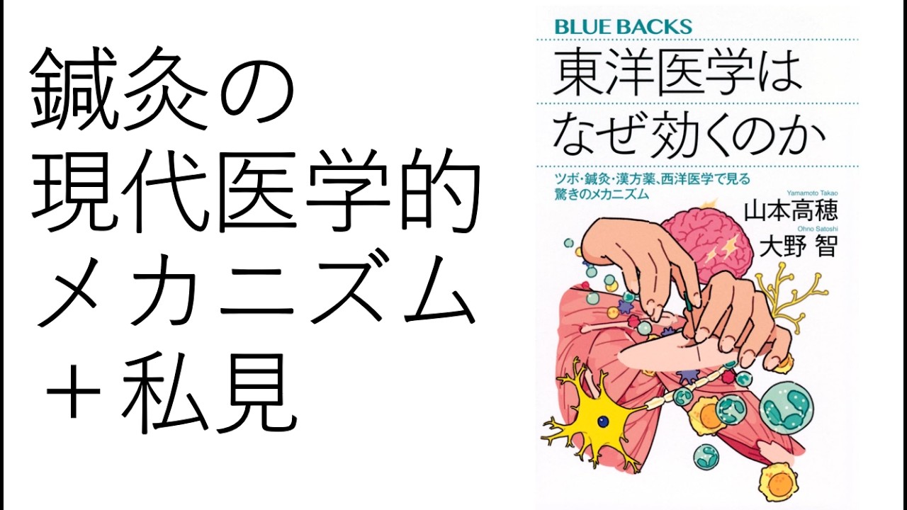 鍼灸の現代医学的メカニズム＋私見