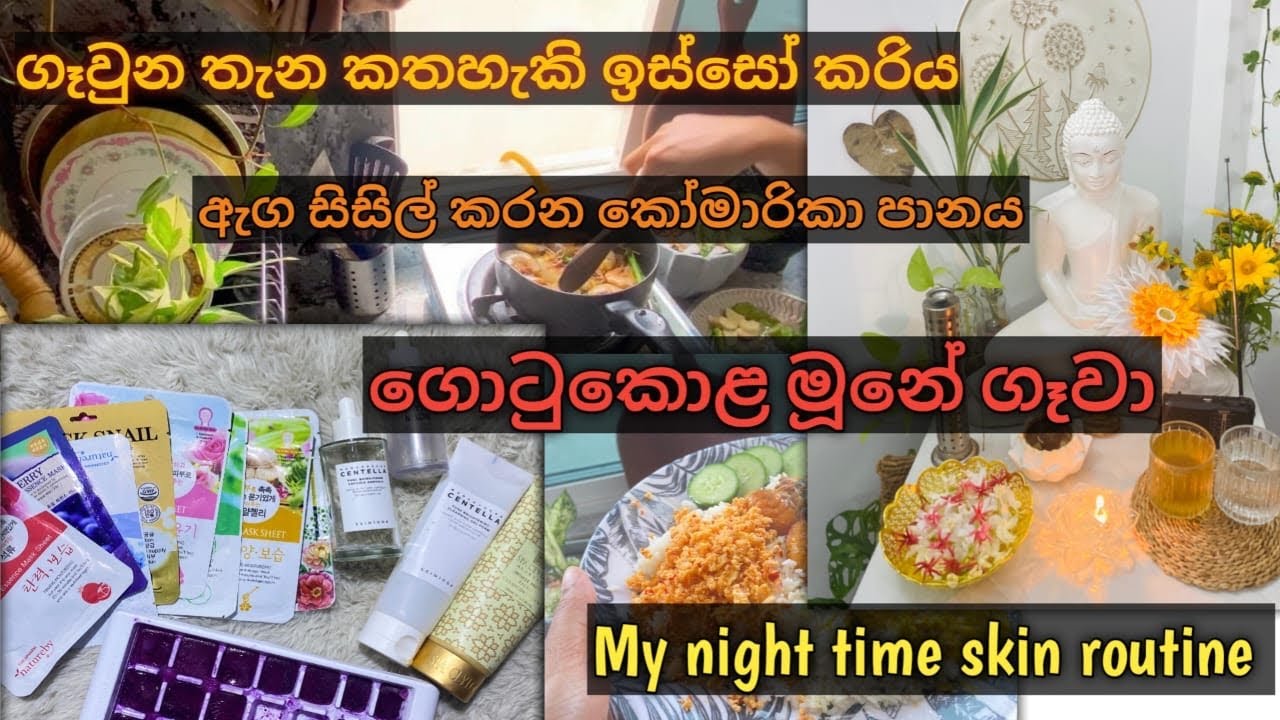 Day In My Life 2/5/26🥰/CENTTELA MADAGASCAR PRODUCT/Prawn curry/ Alovera Juice/Night time skin routin