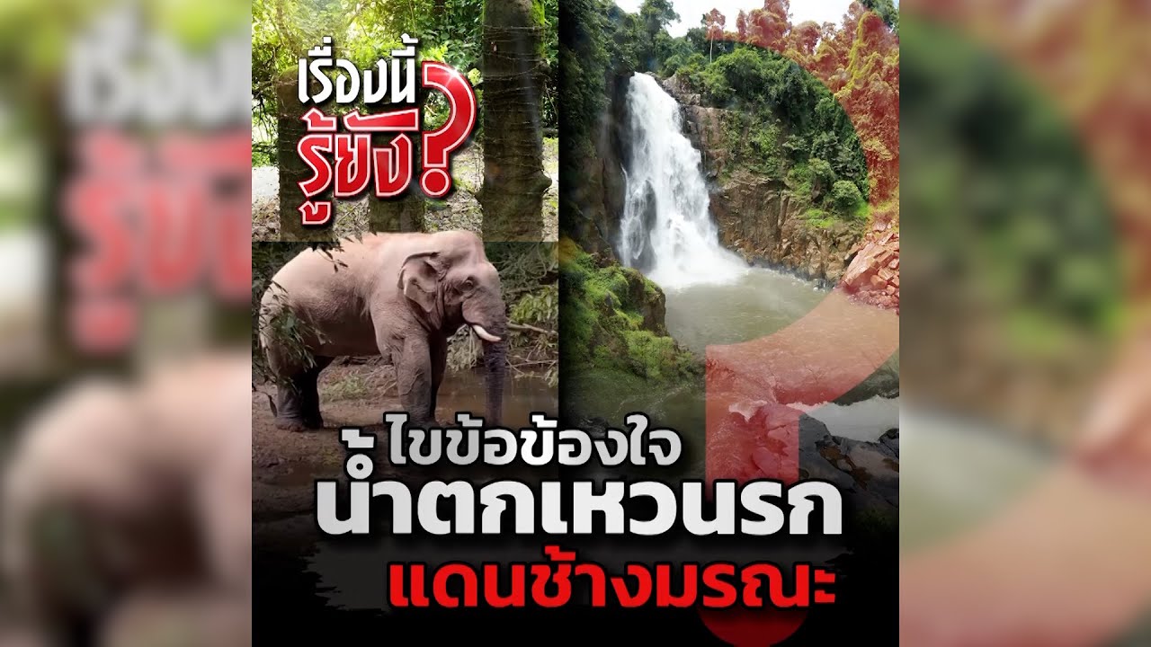 น้ำตกเหวนรก เพราะอะไรช้างถึงตกลงไปตายแทบทุกปี | เรื่องนี้รู้ยัง ?