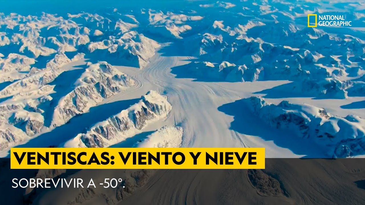 Ventiscas, combinaci&oacute;n letal de viento y nieve | Desastres Mortales