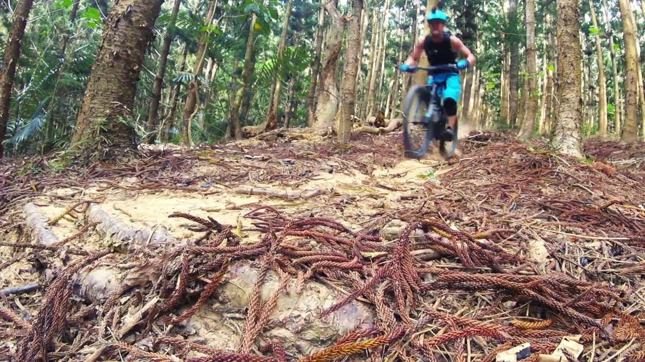MTB Taiwan 台灣: Guanmiao Forest is full of trails! Here's another one :D