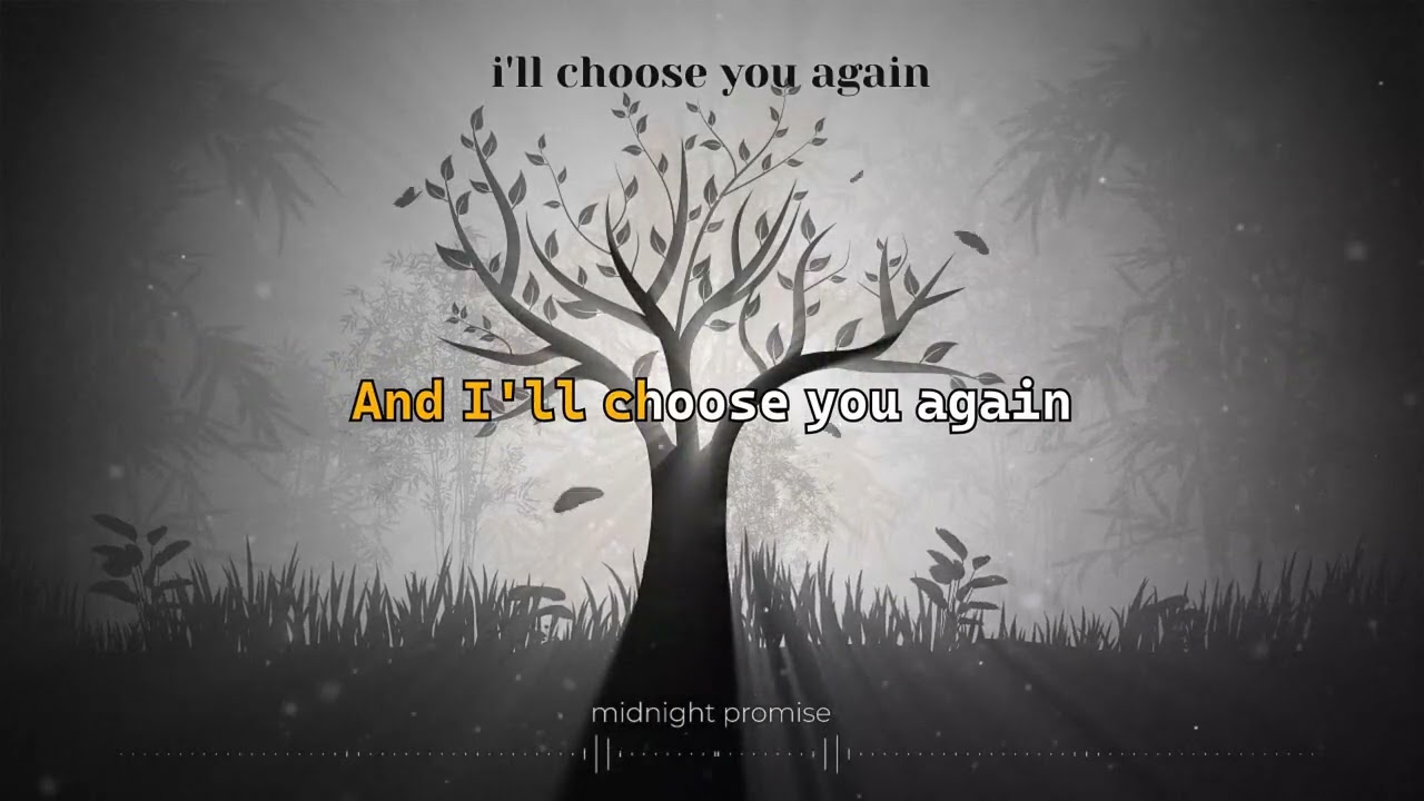 i'll choose you again