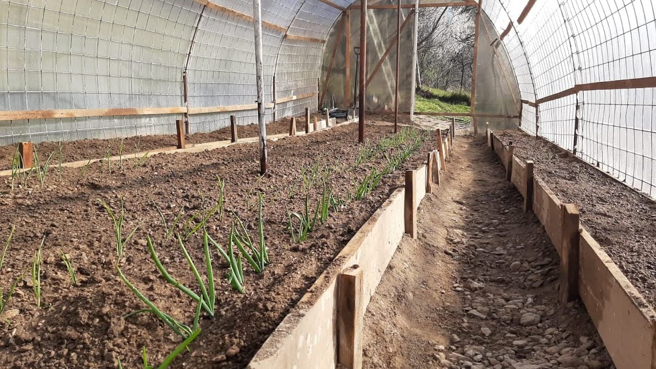 Solar din plasa sudata (de Buzau) si policarbonat, cum l-am construit rezistent la vant si zapada