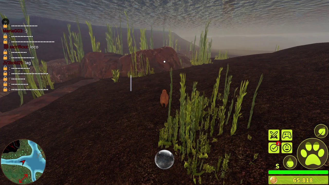 Jungle Live: Capibara Koser 🦫